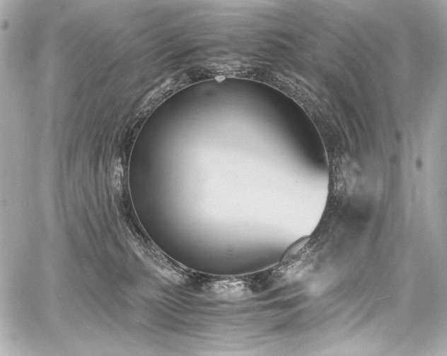 X0000060800279200511101427