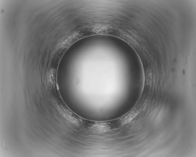 X0000060800280200511101427