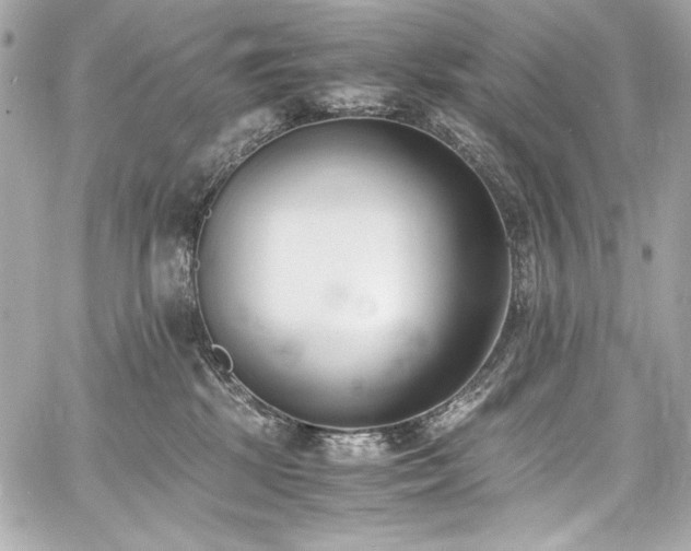 X0000060800281200511101427