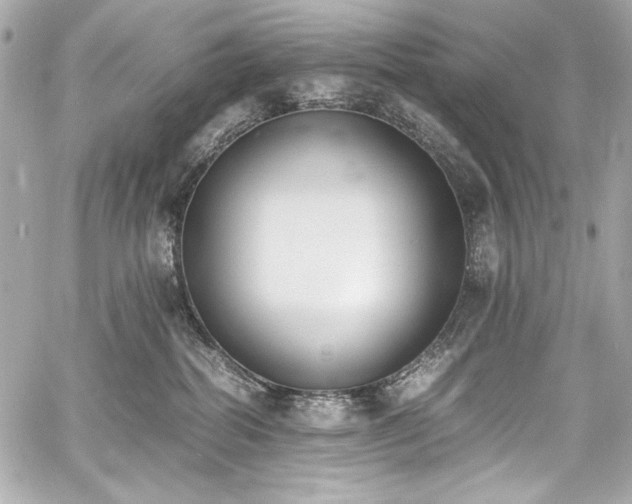 X0000060800282200511101427