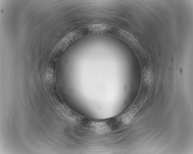 X0000060800283200511101427