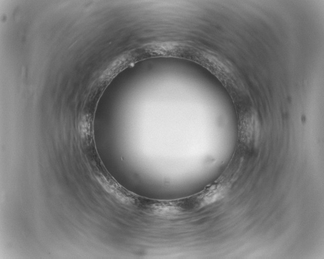 X0000060800284200511101427