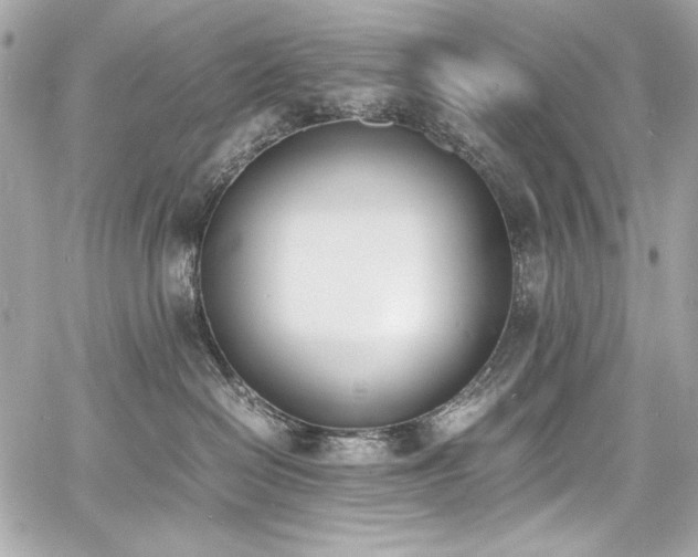 X0000060800286200511101427