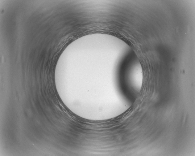 X0000060800288200511101427