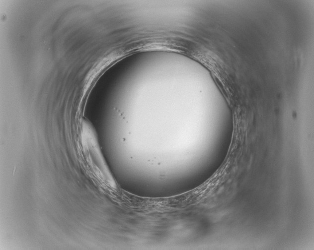 X0000060800289200511101426