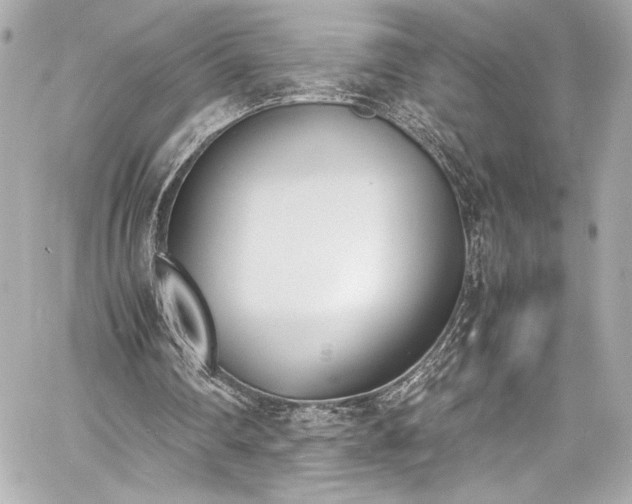 X0000060800290200511101426