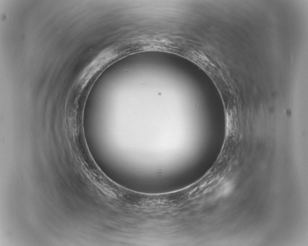 X0000060800291200511101426