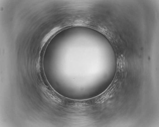 X0000060800292200511101426