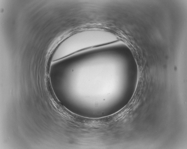 X0000060800293200511101426