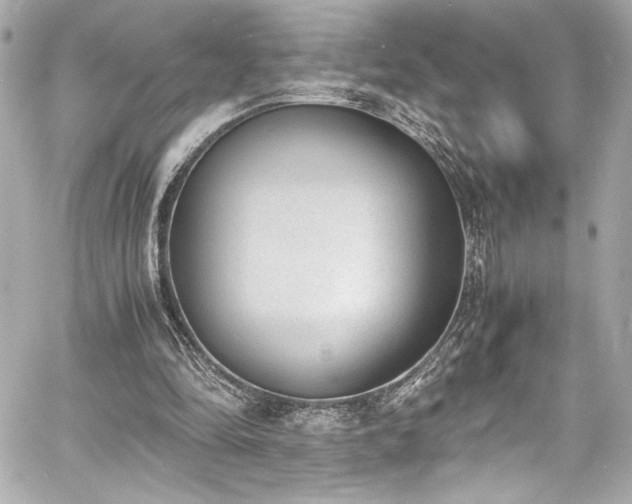 X0000060800294200511101426