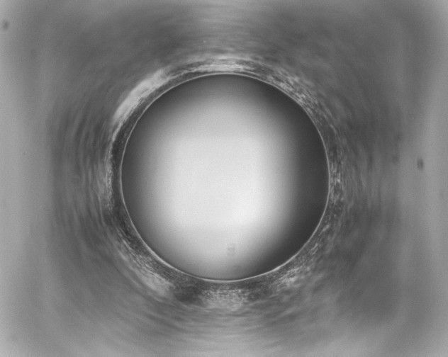 X0000060800296200511101426