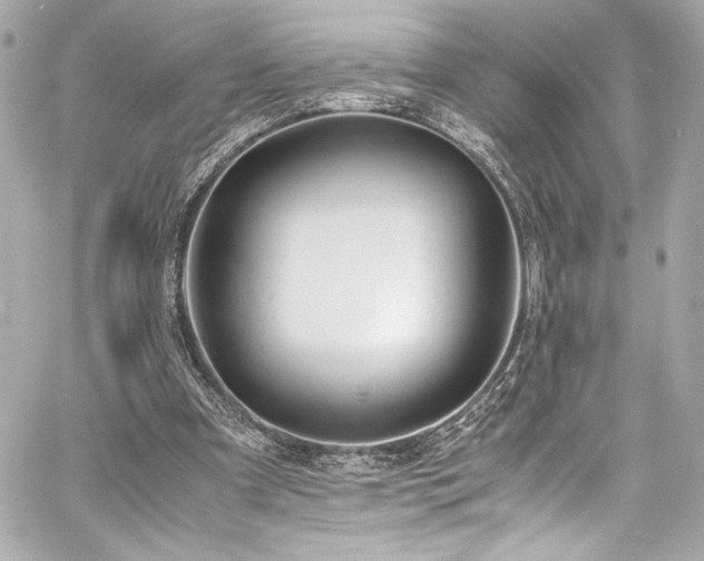 X0000060800297200511101426