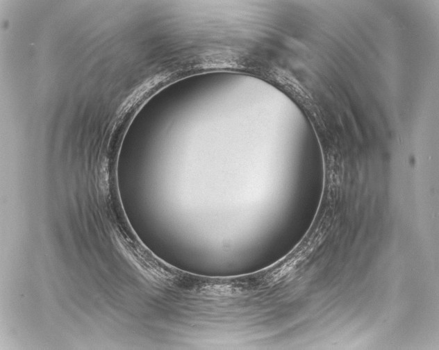 X0000060800298200511101426