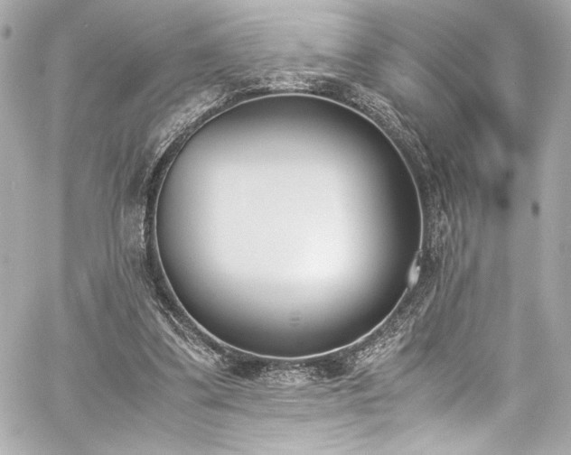 X0000060800299200511101426