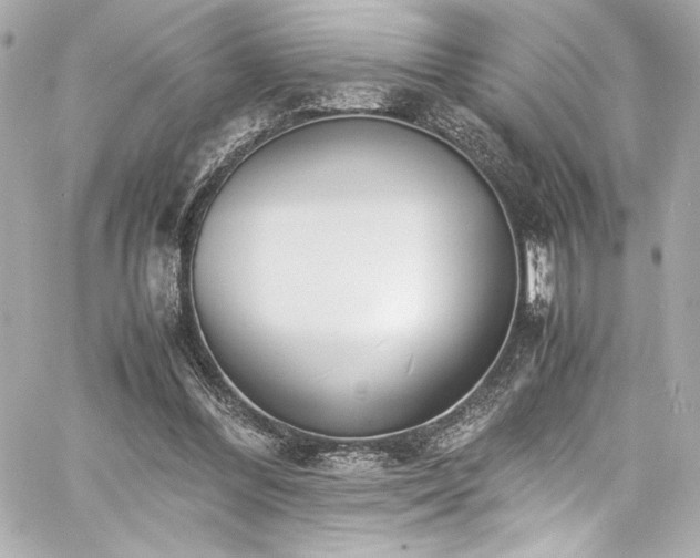 X0000060800300200511101426