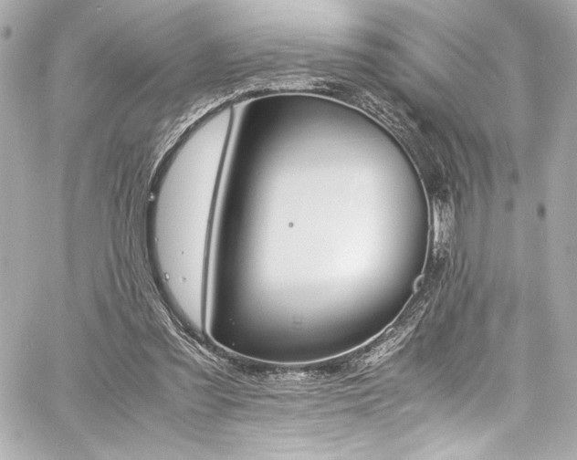 X0000060800301200511101426