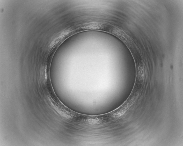 X0000060800302200511101426