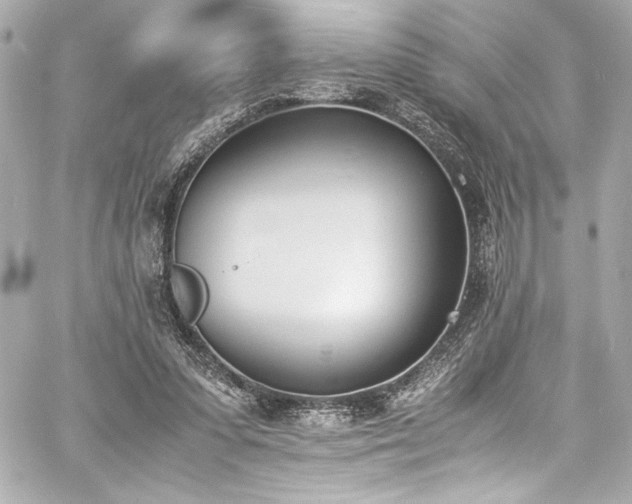 X0000060800303200511101426