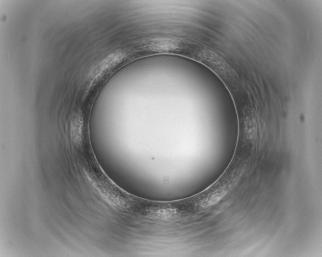 X0000060800304200511101426