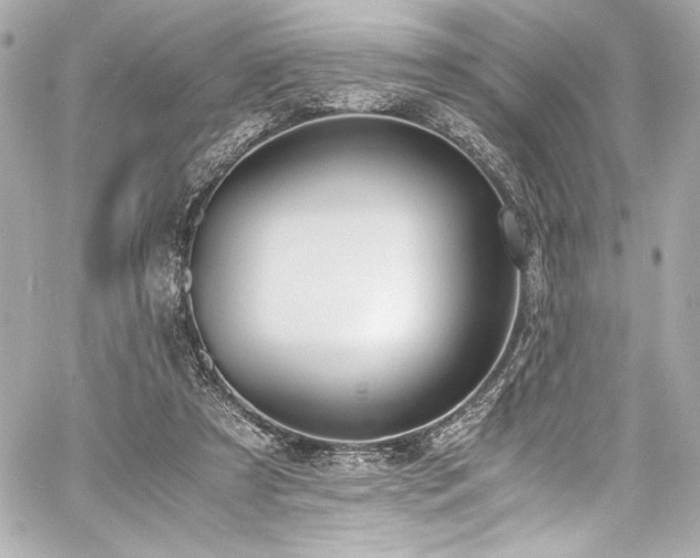 X0000060800305200511101426