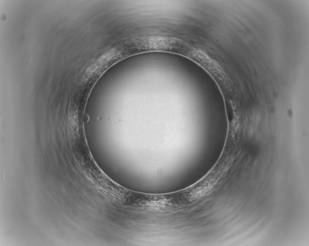 X0000060800306200511101426