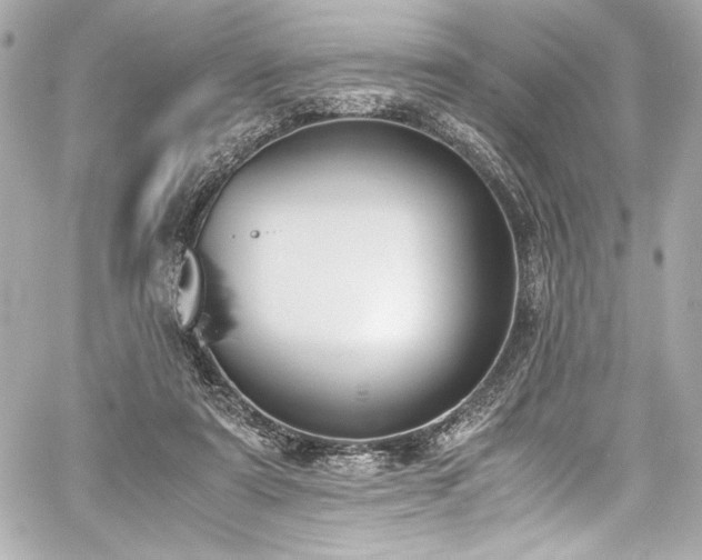 X0000060800307200511101426