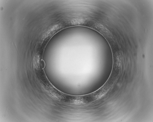 X0000060800308200511101426