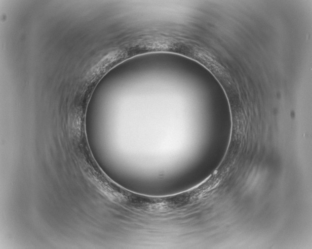 X0000060800309200511101426