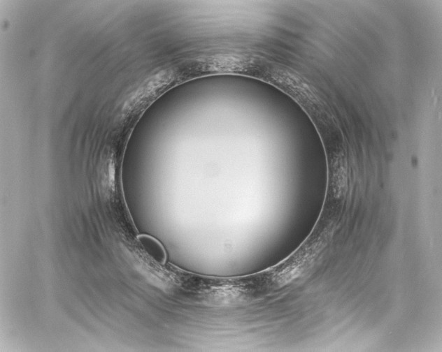 X0000060800310200511101426