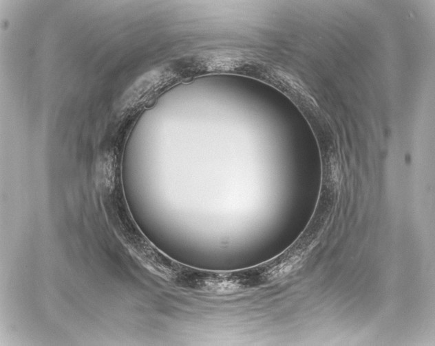 X0000060800311200511101426