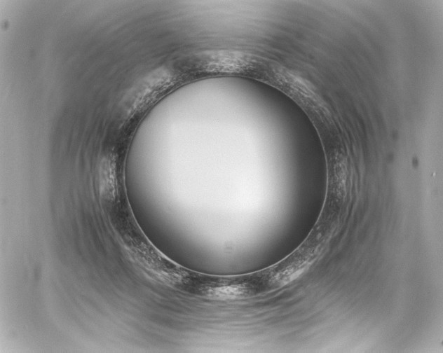 X0000060800312200511101426