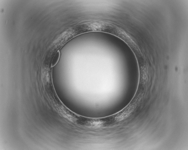 X0000060800313200511101426