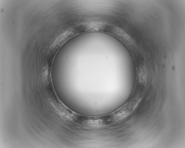 X0000060800314200511101426