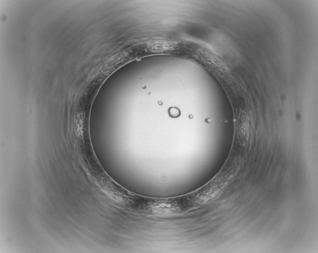 X0000060800315200511101426