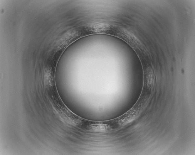 X0000060800316200511101426