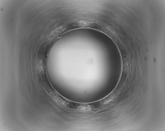 X0000060800317200511101426