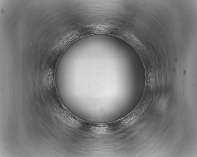 X0000060800318200511101426