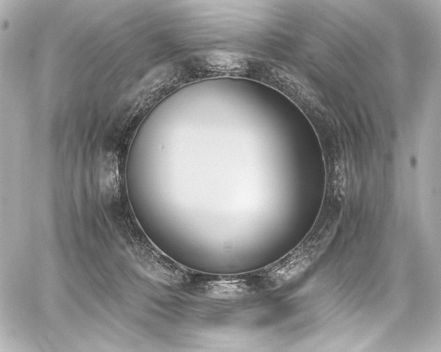 X0000060800320200511101426