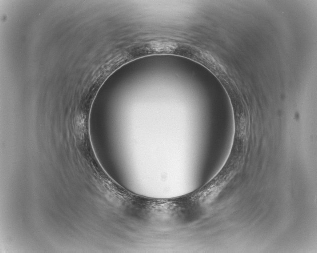 X0000060800321200511101426