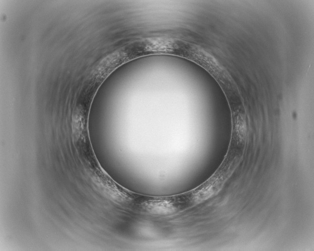 X0000060800322200511101426