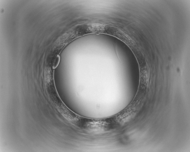 X0000060800323200511101426