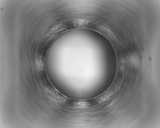 X0000060800324200511101426