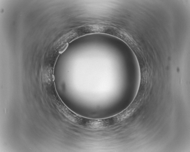 X0000060800325200511101426