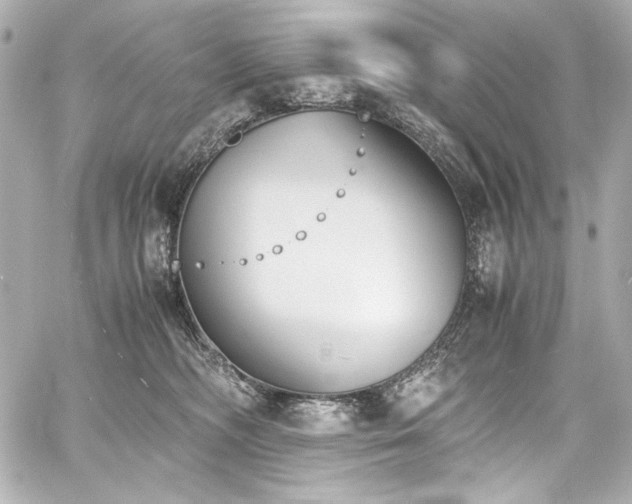 X0000060800326200511101426