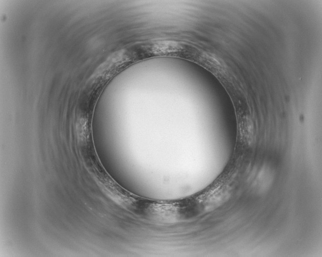 X0000060800327200511101426