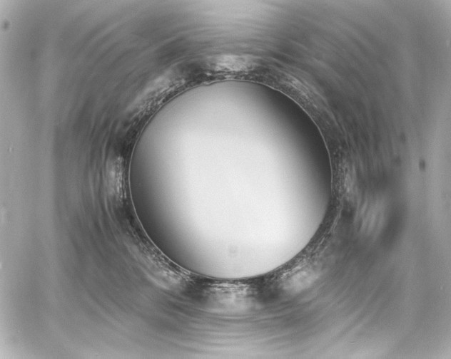 X0000060800328200511101425