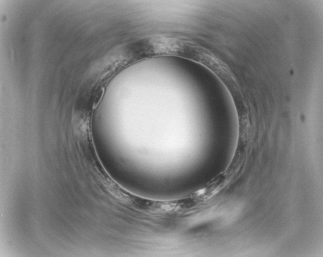 X0000060800329200511101425