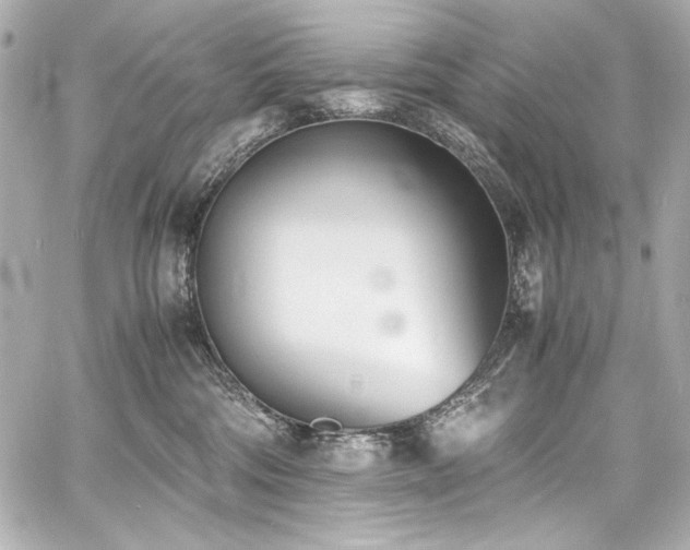 X0000060800330200511101425