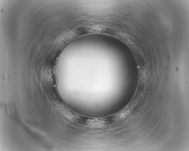 X0000060800331200511101425