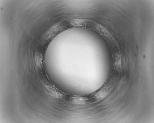 X0000060800332200511101425